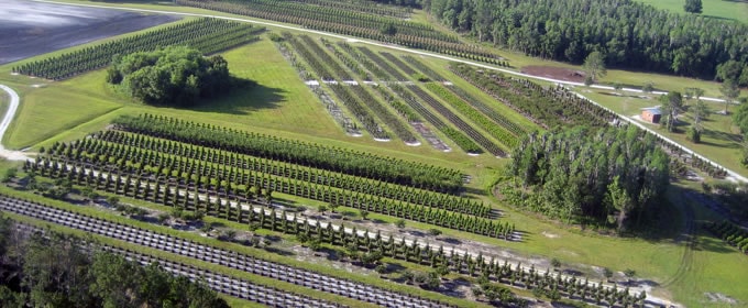 Aerial view of Butler Tree Farm